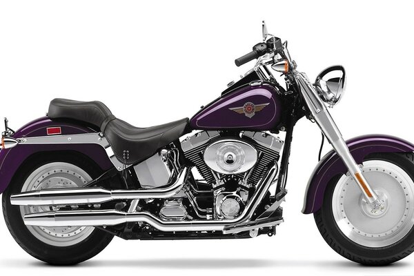 Harley Davidson. Moto pourpre sur fond blanc