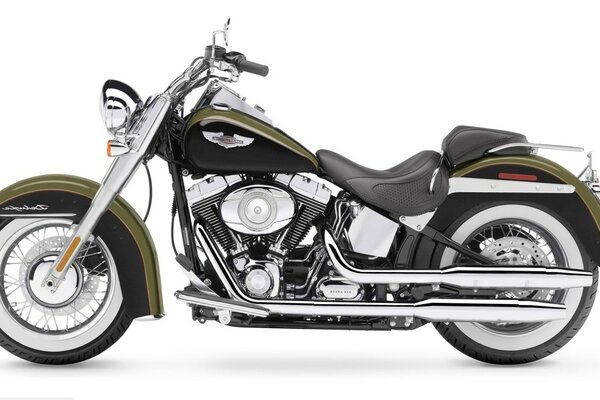 Harley Davidon Motorrad auf weißem Hintergrund