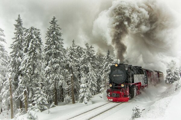 Treno a vapore su uno sfondo di foresta innevata