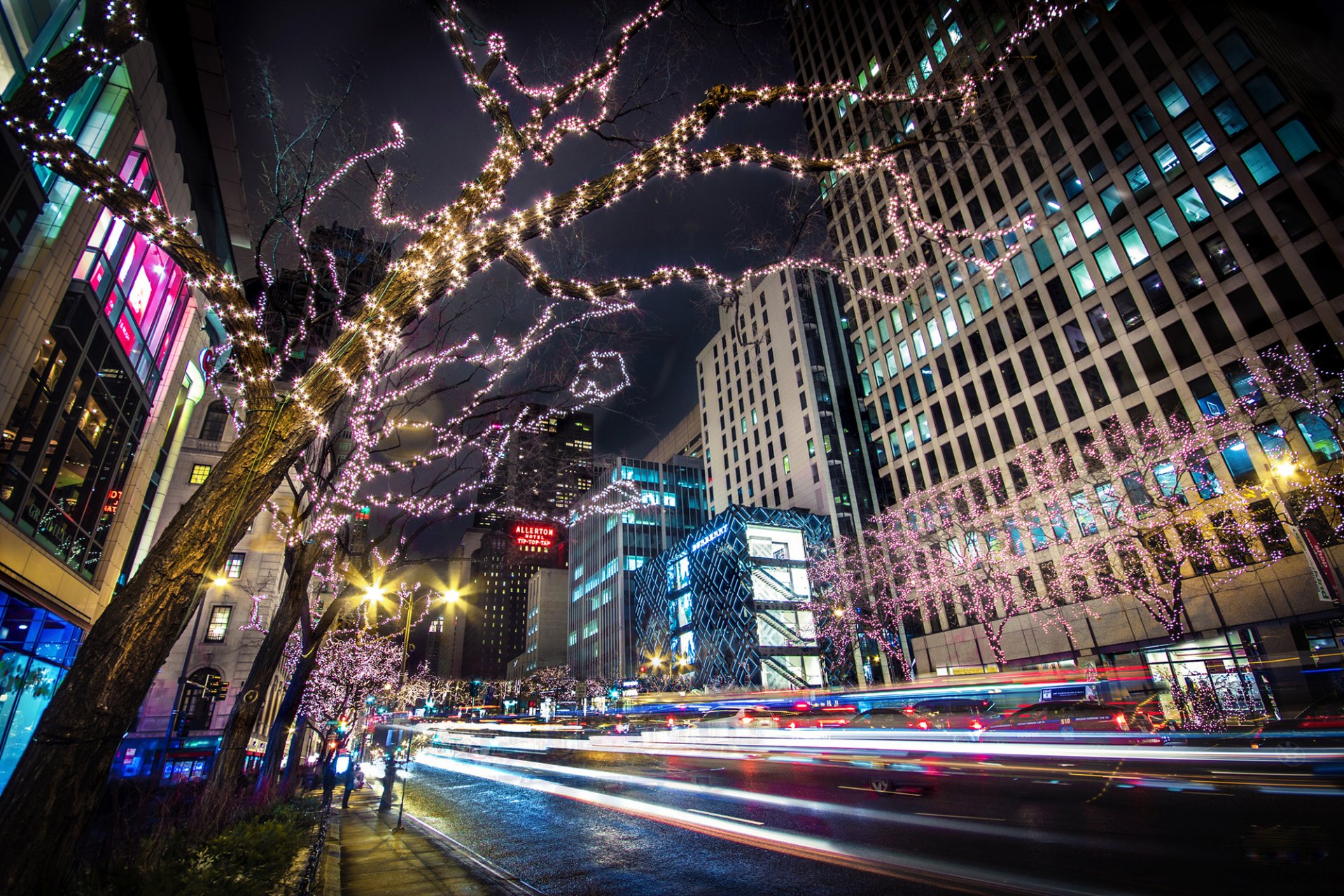 chicago illinois estados unidos ciudad noche carretera exposición árboles luces guirnalda rascacielos casas edificios tiendas