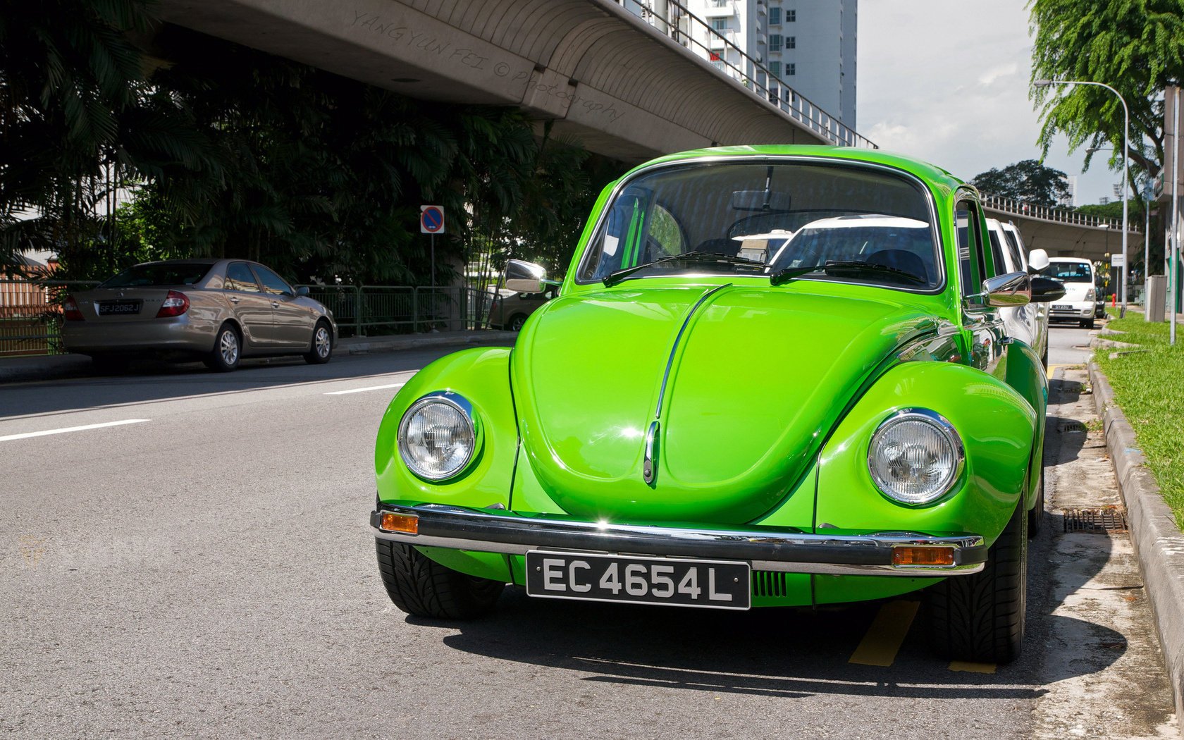 volkswagen beetle escarabajo verde