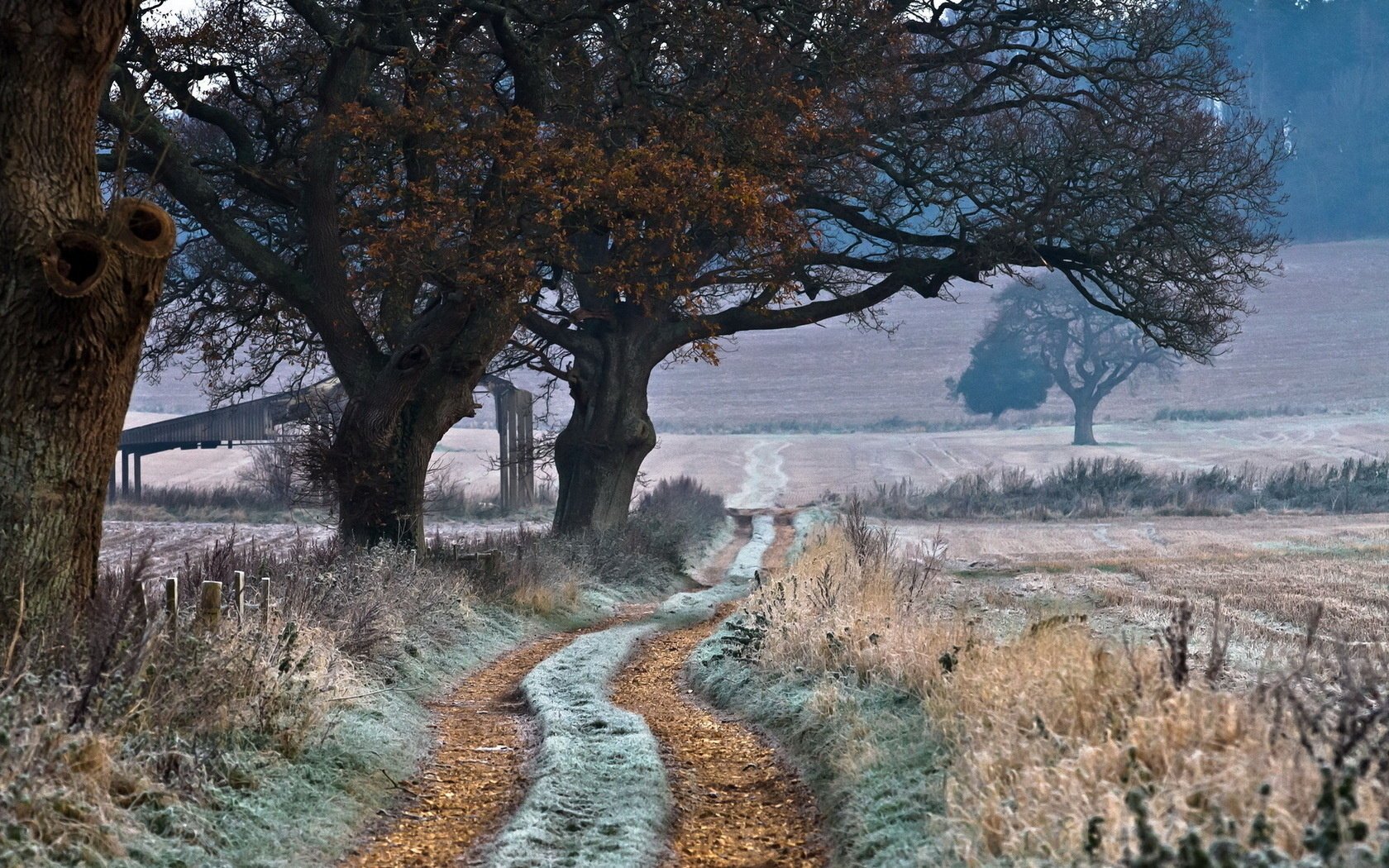 campo camino paisaje