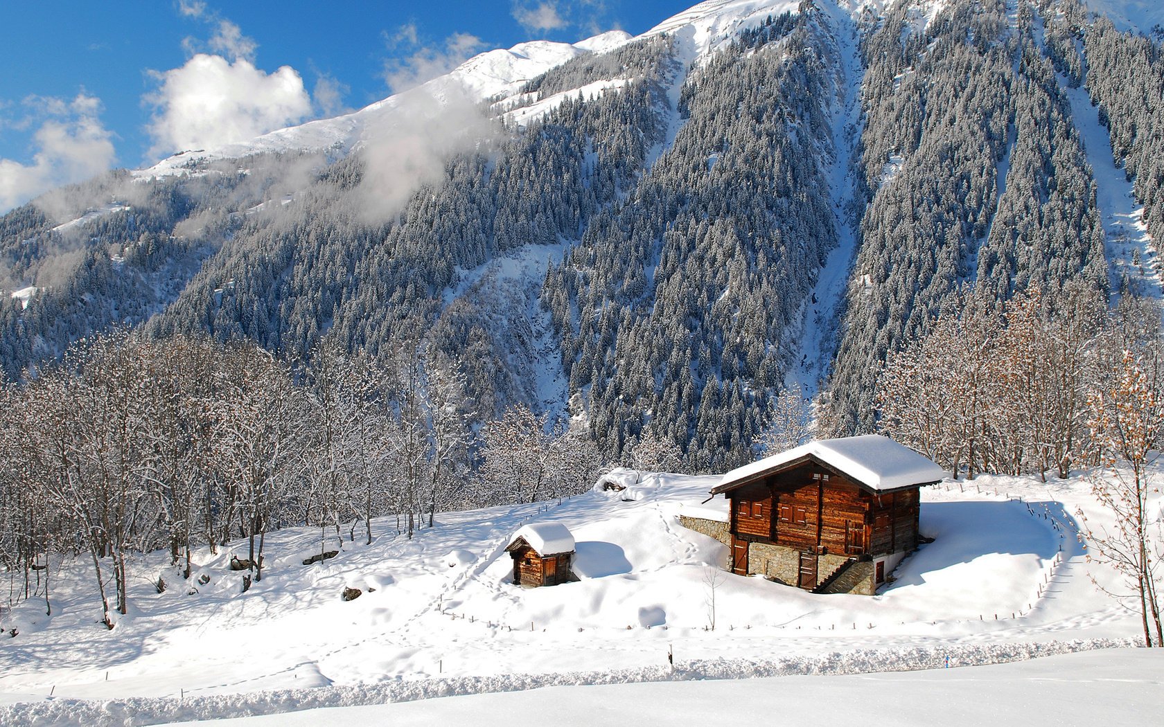 paysage nature forêt montagnes maison hiver