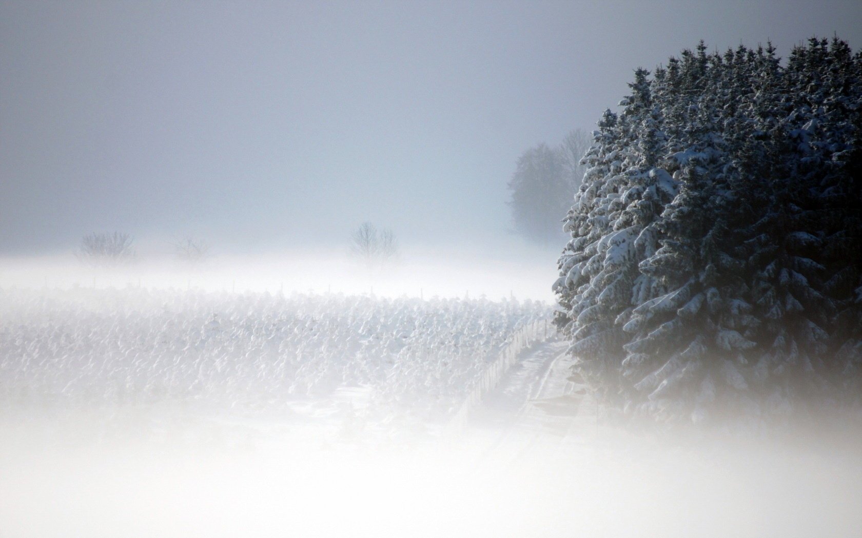 niebla paisaje nieve