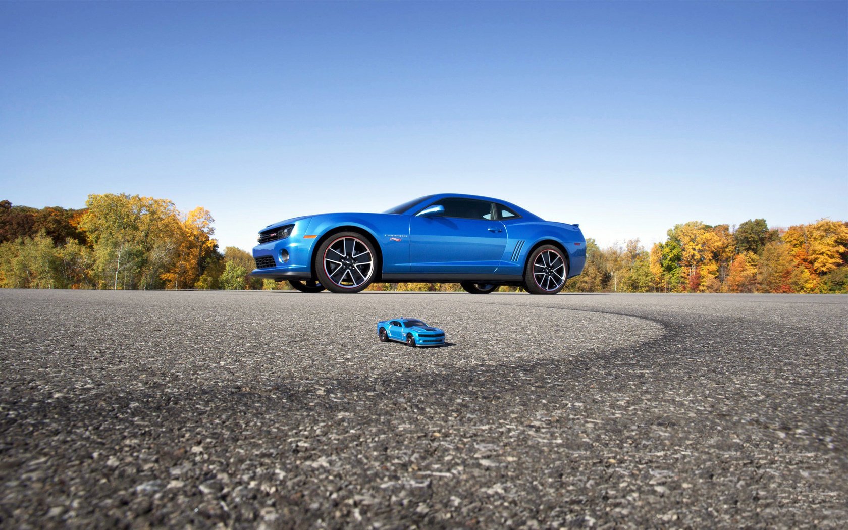 blue car camaro model color