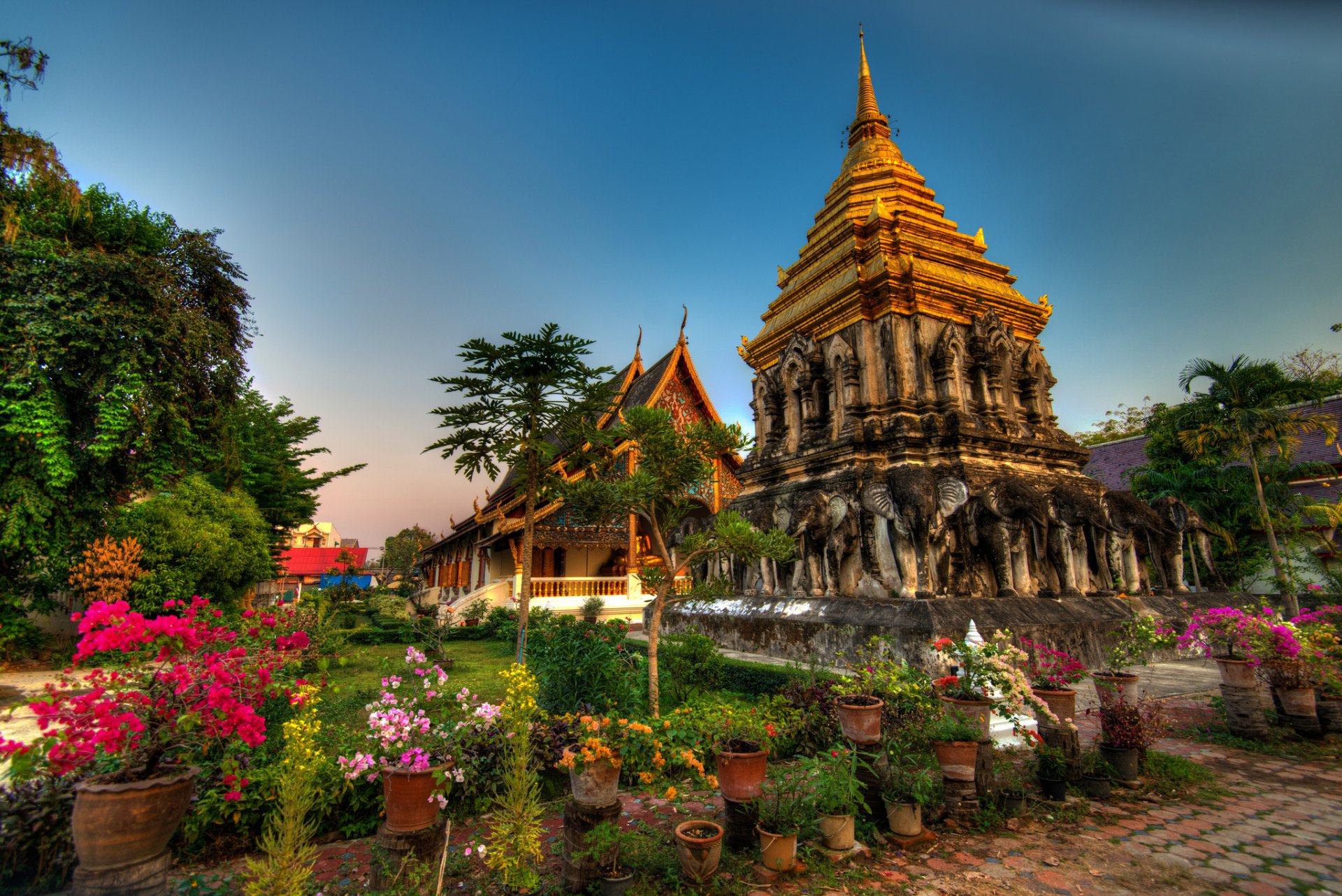 wat chiang man chiang mai thailand wat chiang man tempel thailand blumen