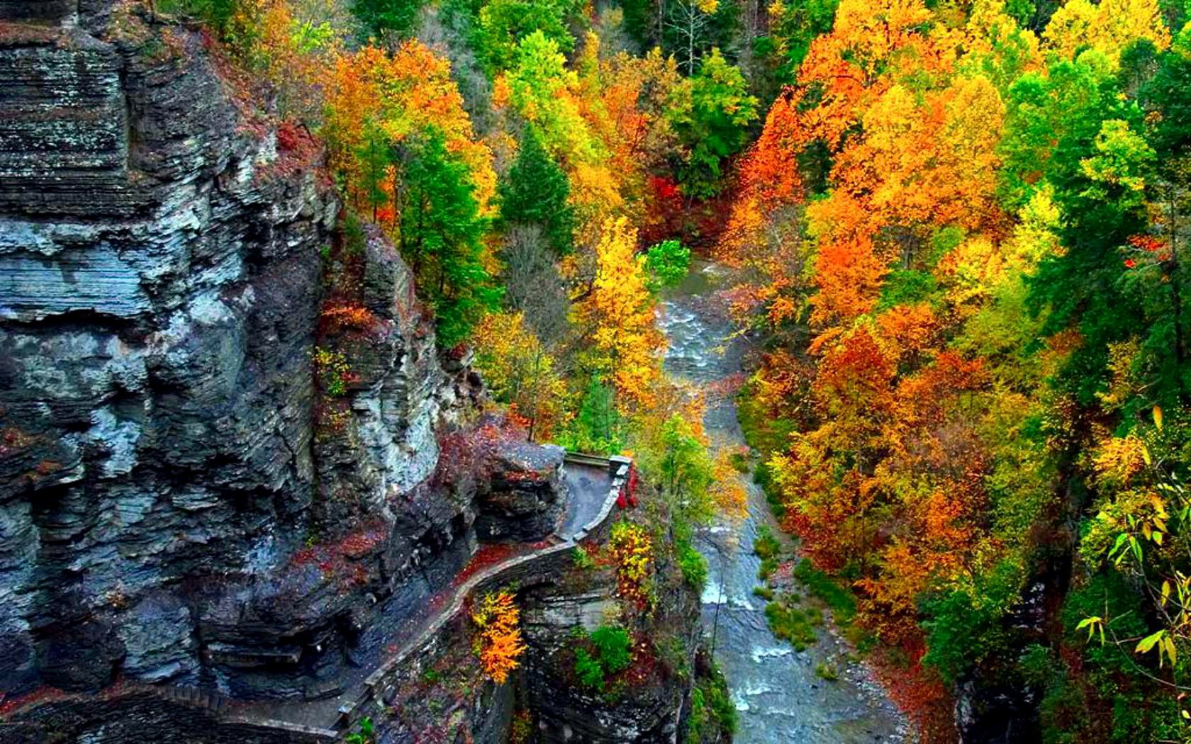 nature montagnes forêt