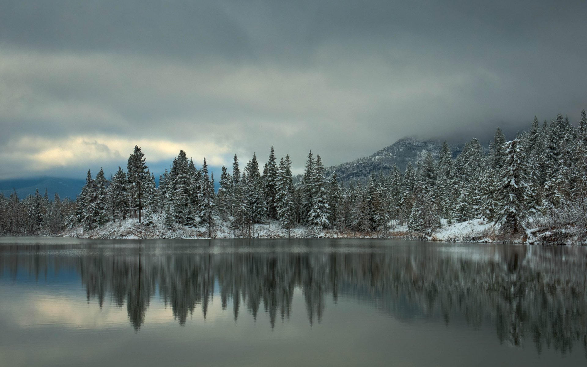 winter lake spruce forest snow tree