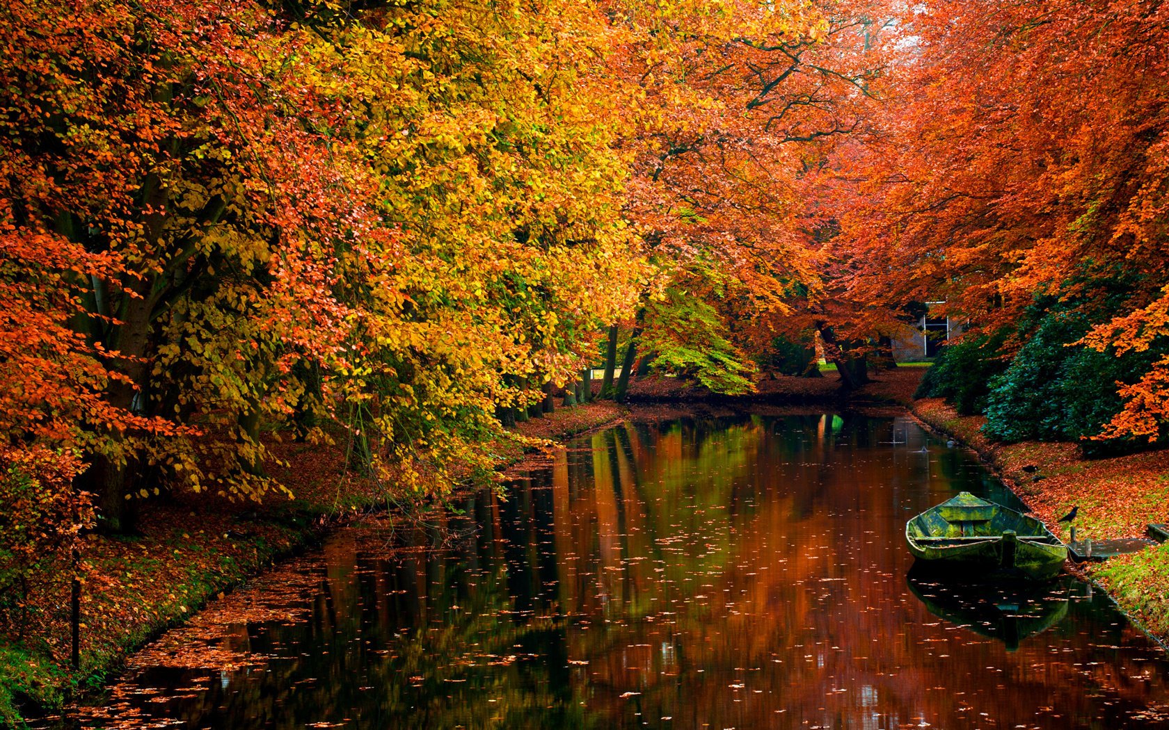 otoño bosque río