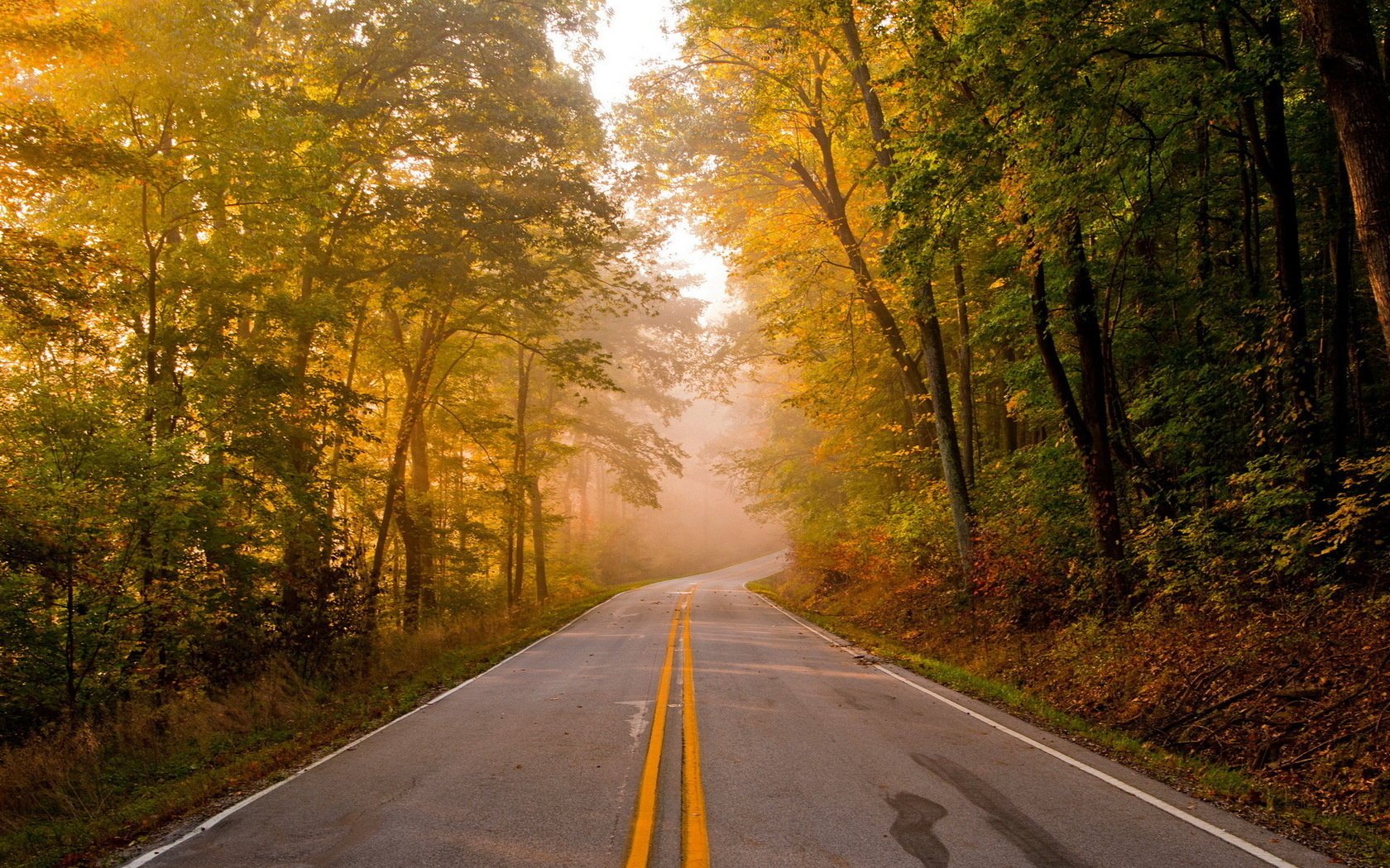 paisaje carretera otoño