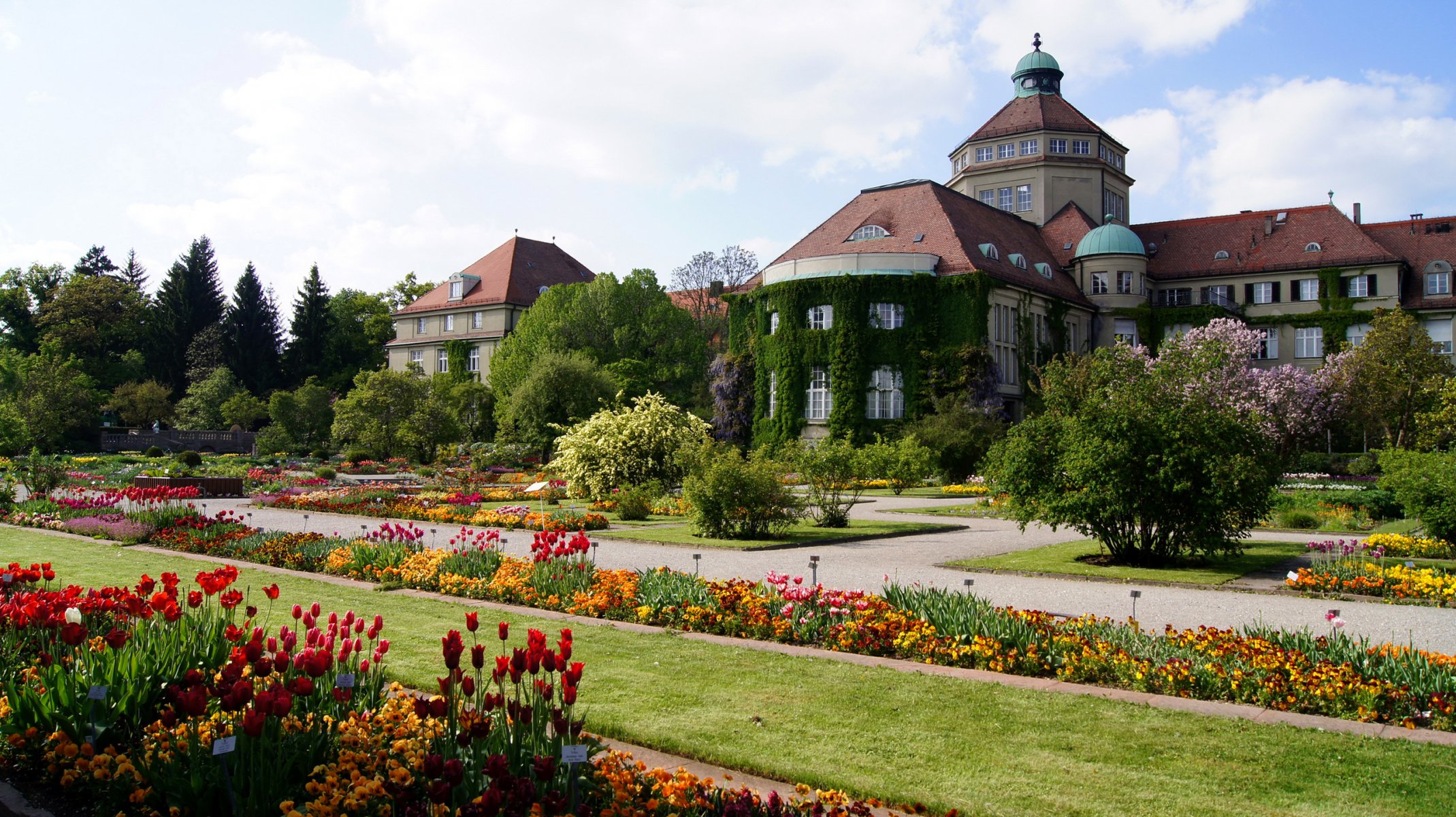 monachium niemcy ogród botaniczny niebo dom aleja kwietnik kwiaty krajobraz