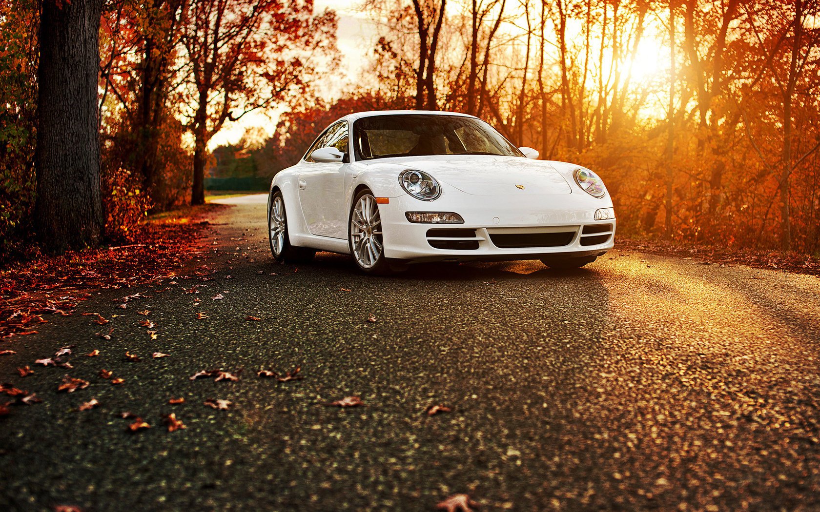 porsche 911 carrera s porsche otoño blanco 911