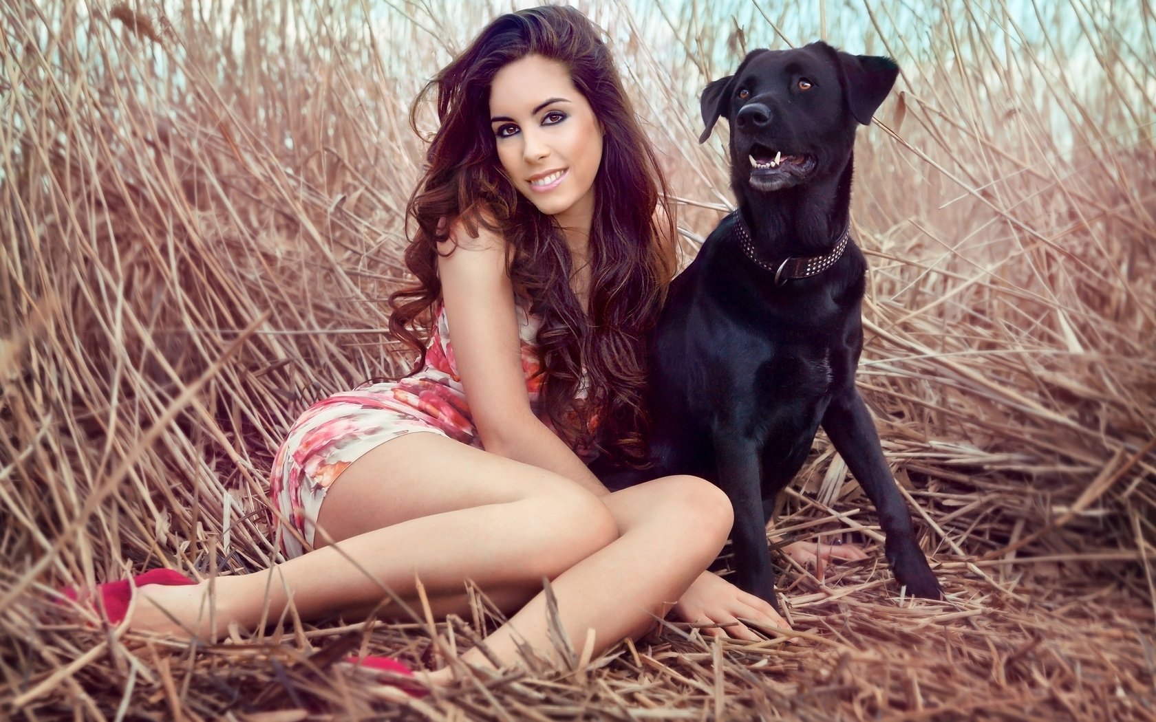 ragazza sguardo sorriso cane