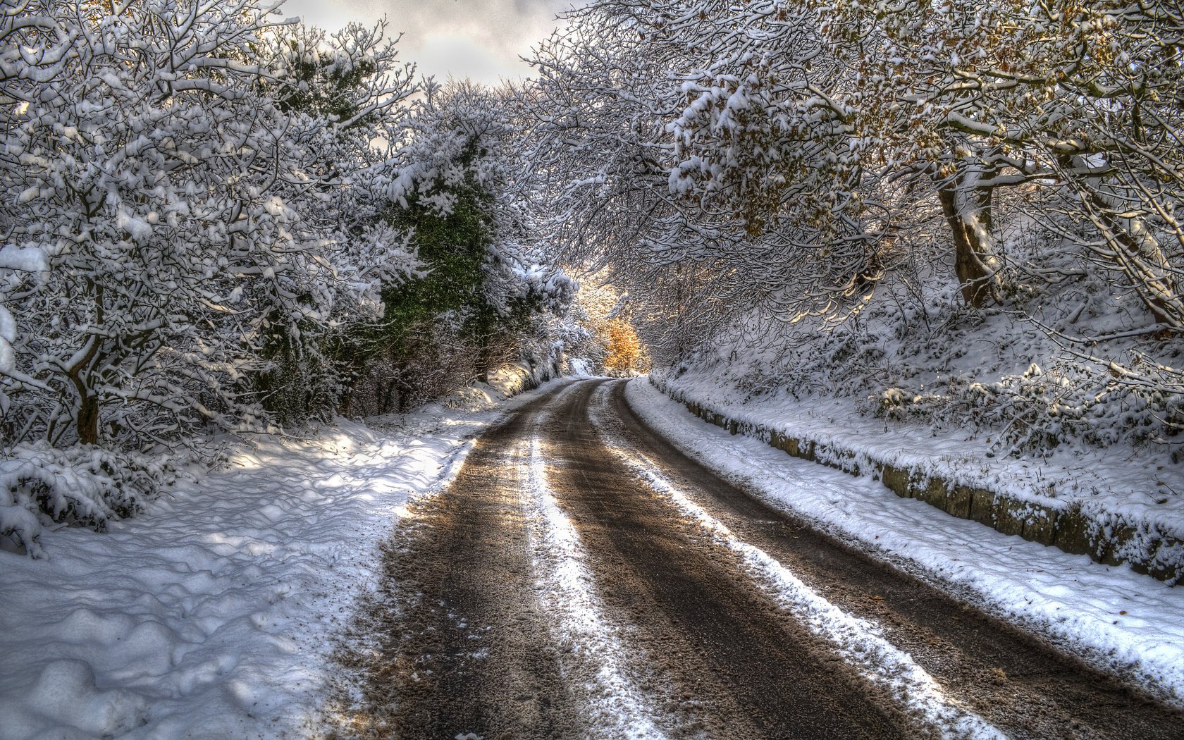 forest nature mountains winter landscape