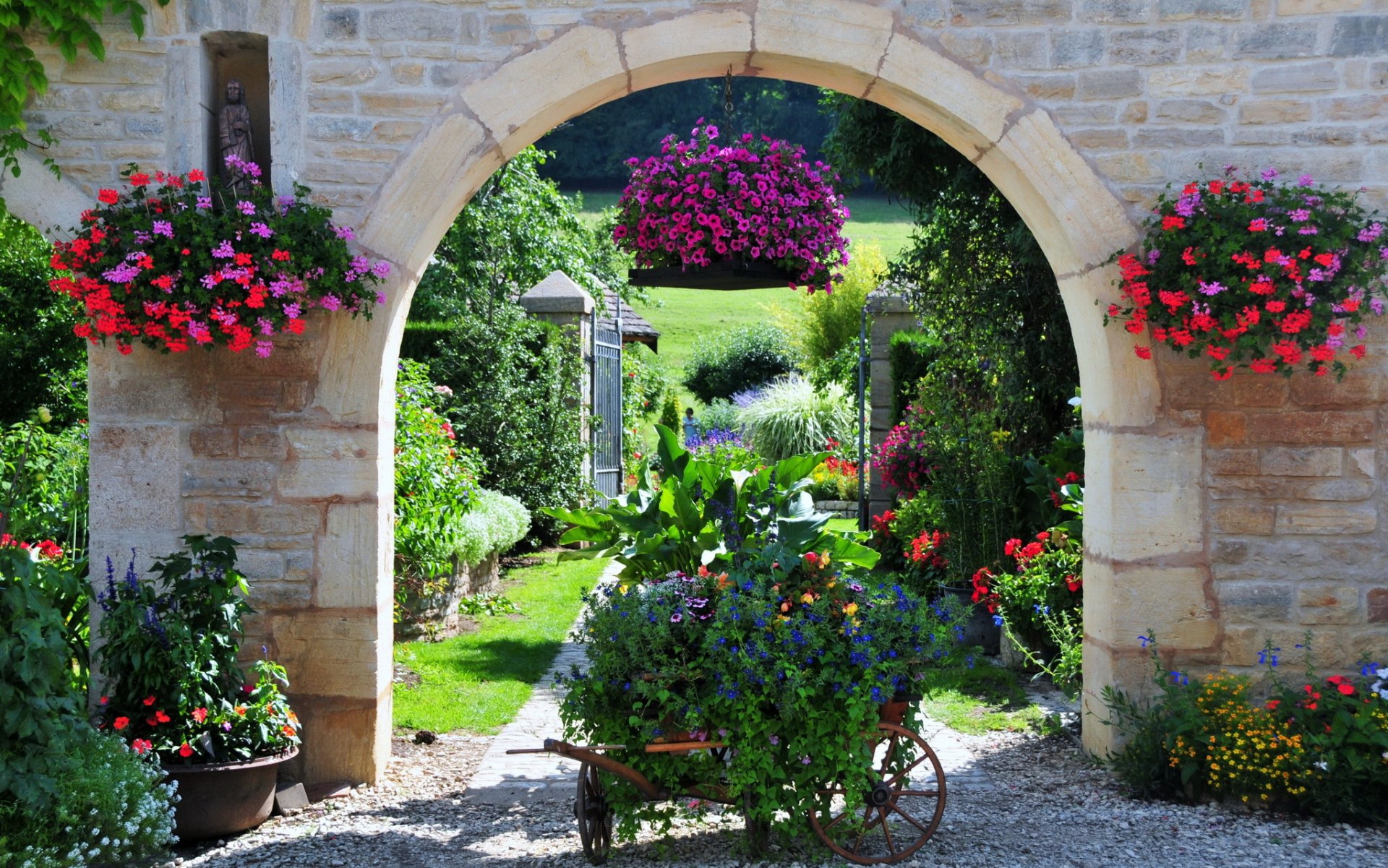 francja ogród petunia geranium natura kwiaty zdjęcia