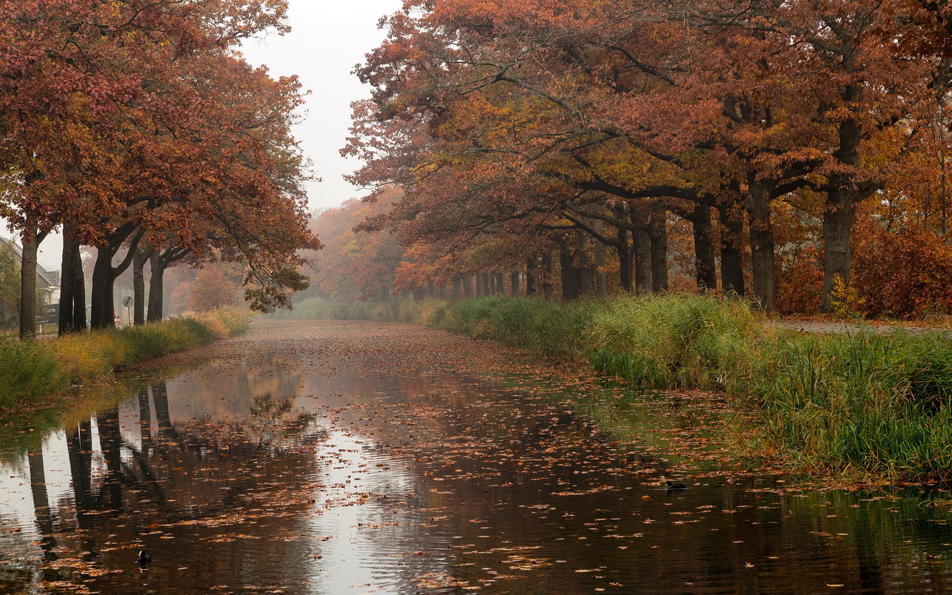 stadt herbst fluss