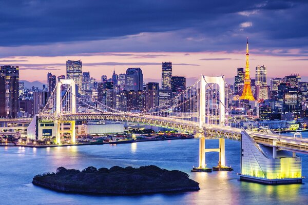 Puerto y ciudad nocturna en Japón