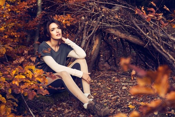 Brunette on the background of autumn nature