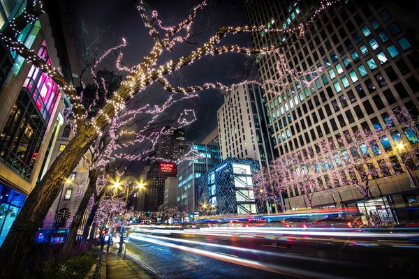 Burning lights on trees near the road