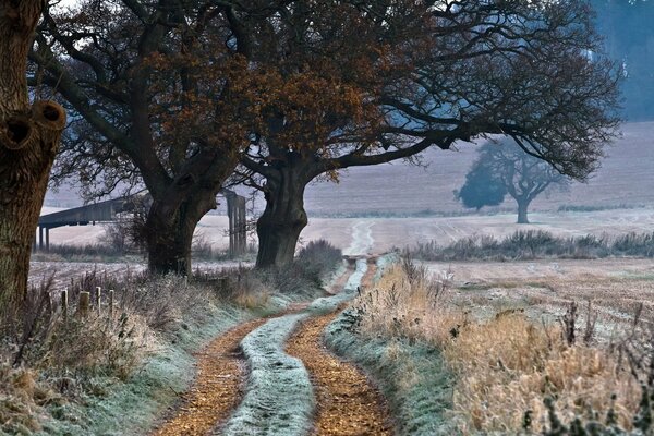 The road of an unknown artist into the distance