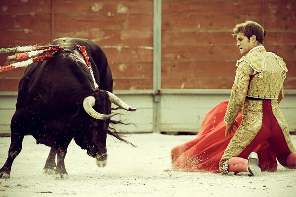 Mutiger Torewerfer und Stier in Spanien