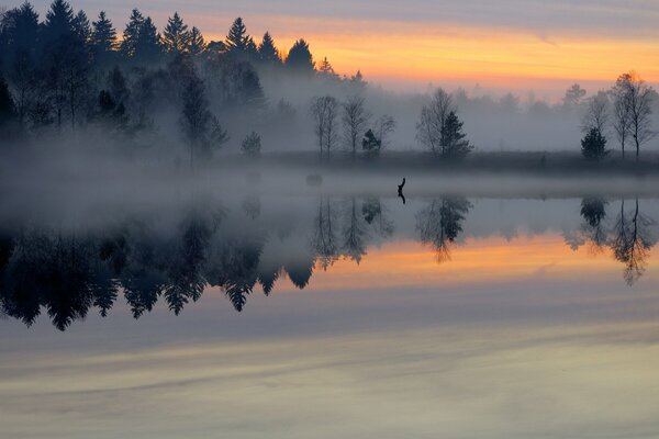 Туманный рассвет над спокойным озером