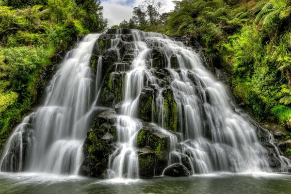 Paisaje de gran cascada en la selva