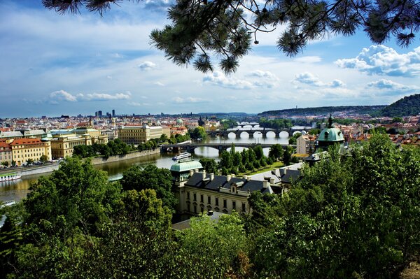 Панорамный вид на городские мосты над рекой