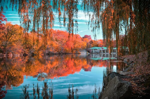 The foliage of the trees is reflected in the lake with crimson