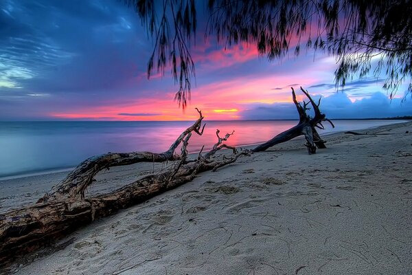 Paesaggio della spiaggia al tramonto