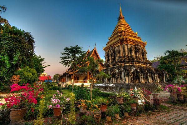 Fiori vicino al tempio in Thailandia