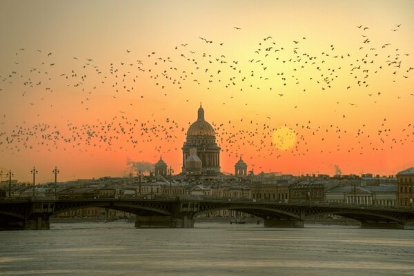 Lever de soleil rose d hiver à Saint-Pétersbourg