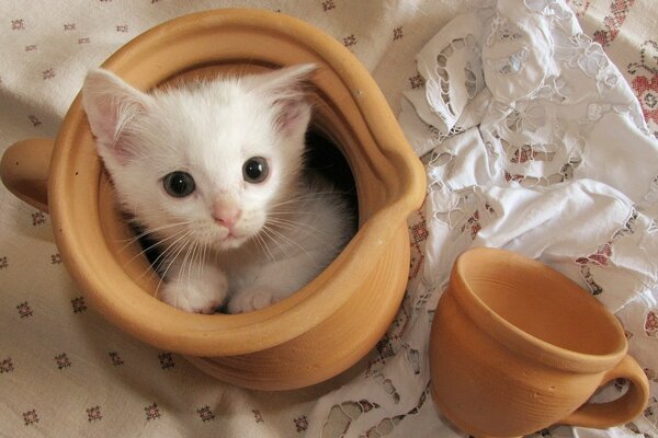 Petite miette dans un pot en argile