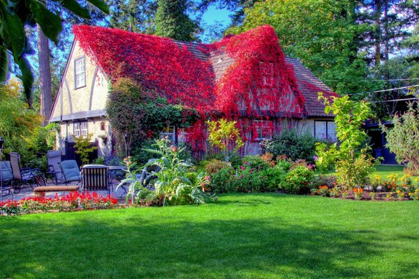 A house with a roof in red leaves and a green territory