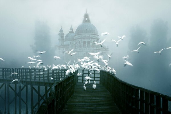 Город в тумане с мостом и птицами