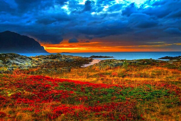 Colorful mountain coast at sunset