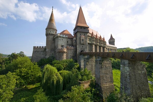 Le château des corvins arbore en Transylvanie sur fond de nature