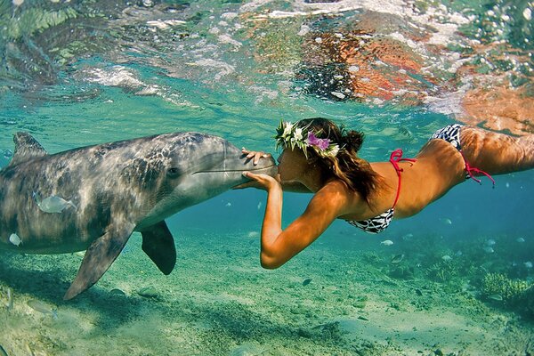 Девушка целует дельфина под водой