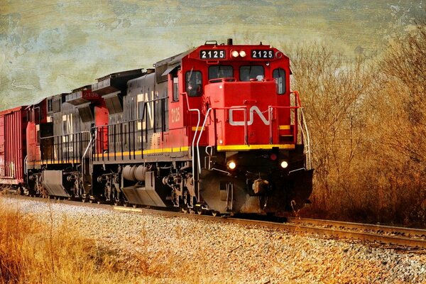 Train rouge sur fond de forêt