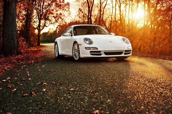 Weißer Porsche im Herbstwald