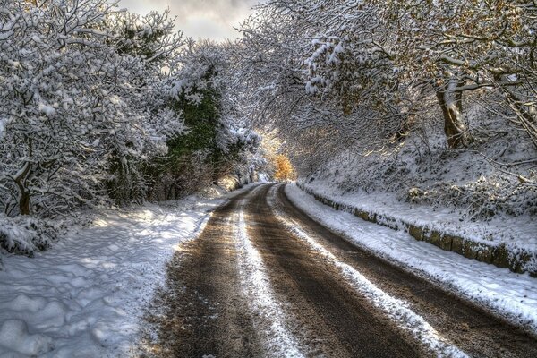 Winterlandschaft der Waldnatur