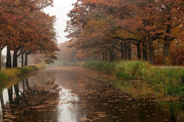 Herbst Flusslandschaft mit orangefarbenen Blättern