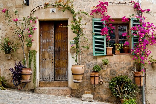 Haus mit rosa Blumen am Fenster