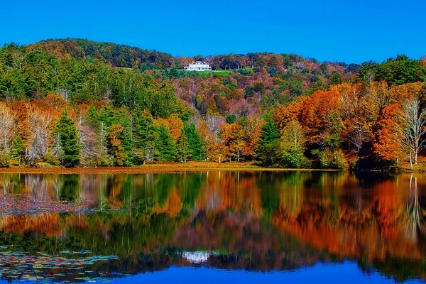 Lago del bosque en colores de otoño