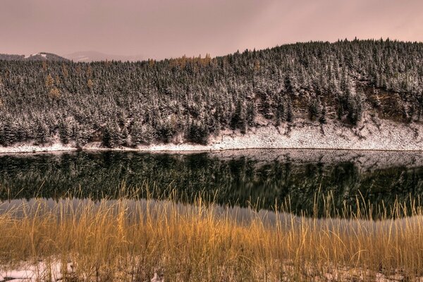 Winterschlafende Natur am sauberen Fluss