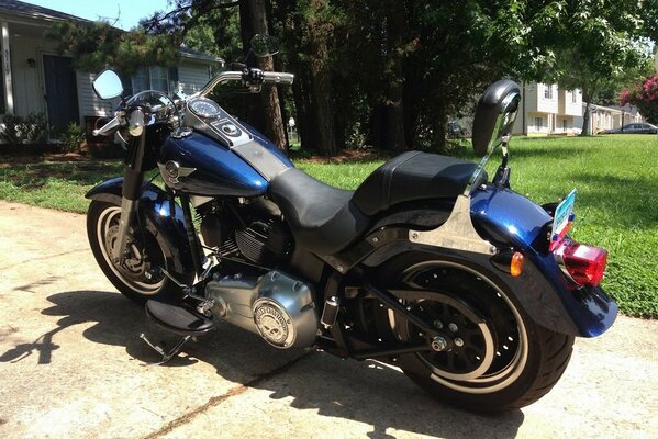 Parked blue harley-davidson motorcycle