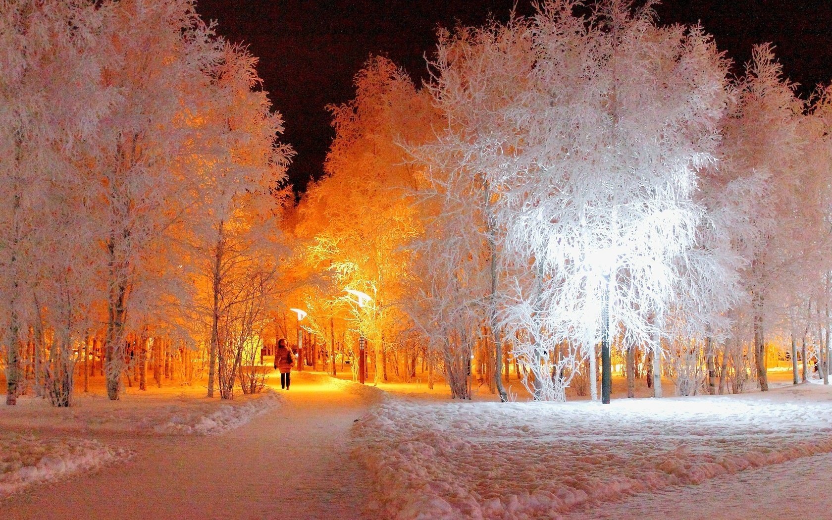 árboles noche escarcha invierno parque linterna noche callejón chica