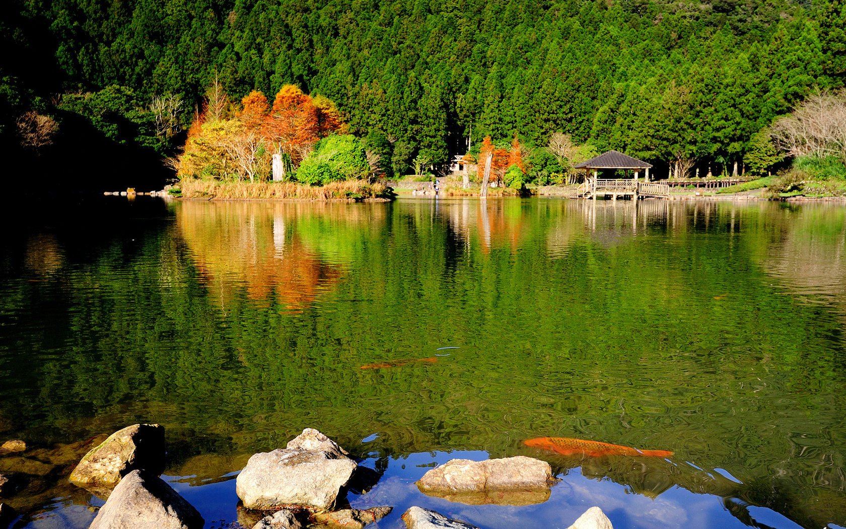 park see natur steine wald