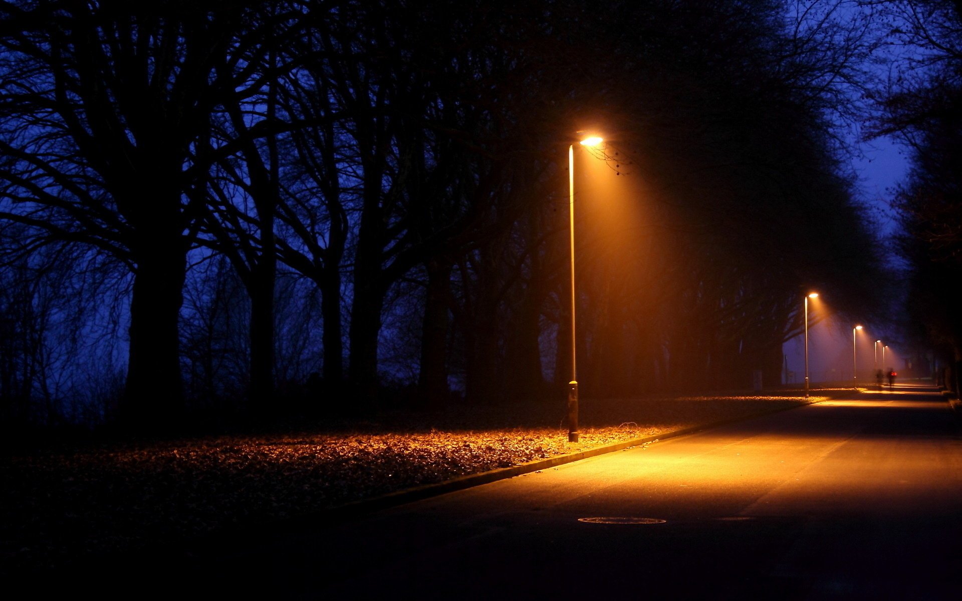 parc nuit ville