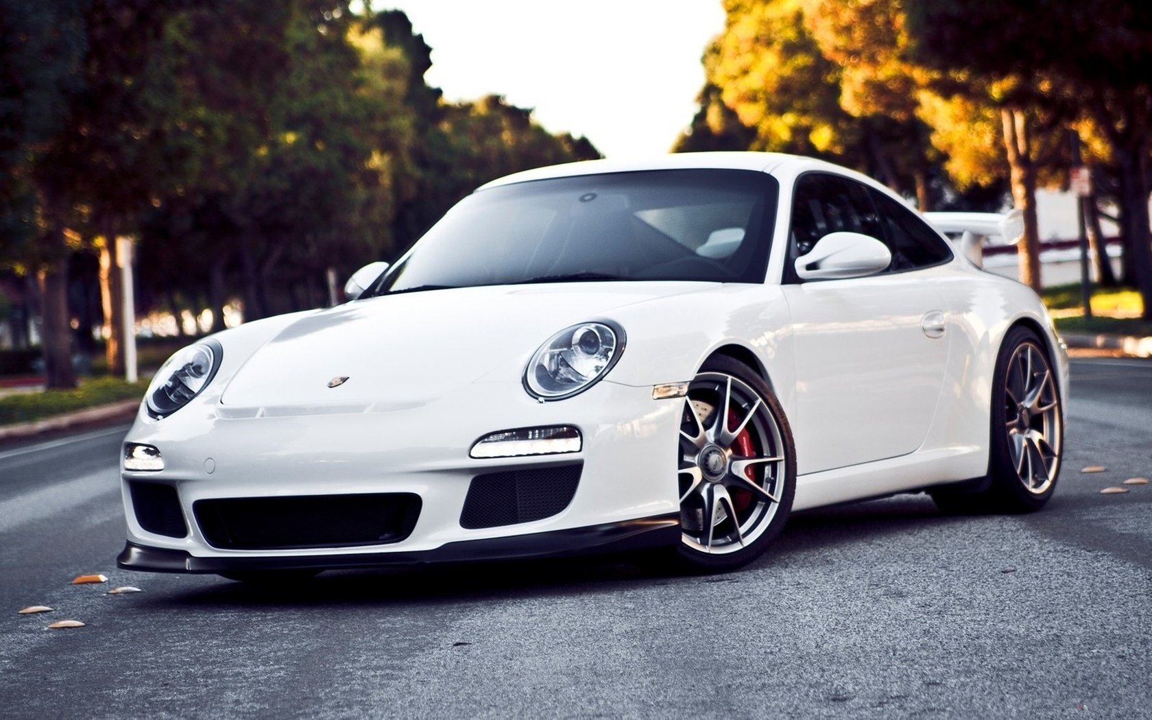 blanc porsche gt3 911